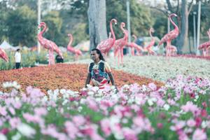 BIB: 
                            <button type="button" onclick="openModal(27344077)" class="btn btn-primary btn-sm float-right btn-popup" data-toggle="modal" data-target=".modal-high-quality">
                        <i class="fas fa-shopping-cart"></i> Add to Cart
                    </button>
                                            <button type="button" onclick="isThisMe(27344077, true)" class="btn btn-success btn-sm float-right btn-popup btn-isme hidden" data-toggle="tooltip" data-placement="bottom" title="นี่คือรูปของคุณใช่ไหม คลิกที่นี่เพื่อเอาเข้าอัลบั้ม">
                        <i class="fas fa-plus"></i> Add to album
                    </button>
                    <button type="button" onclick="isThisMe(27344077, false)" class="btn btn-warning btn-sm float-right btn-popup btn-isnotme hidden">
                        <i class="fas fa-ban"></i> Remove from album
                    </button>